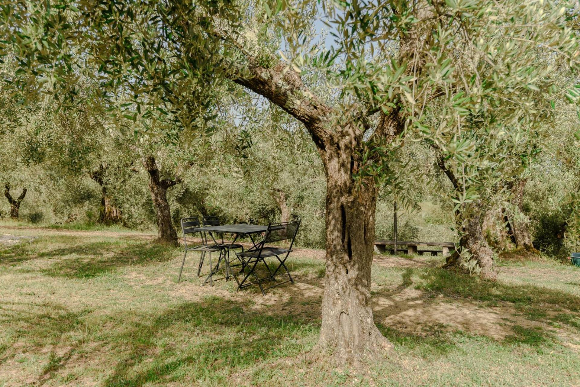 Agriturismo Il Mulino Delle Canutole Magione Exterior photo